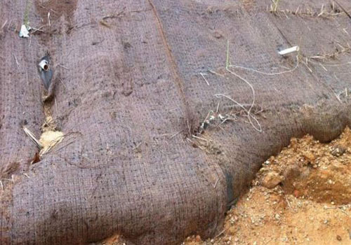 imagen-servicio-control-erosion-03